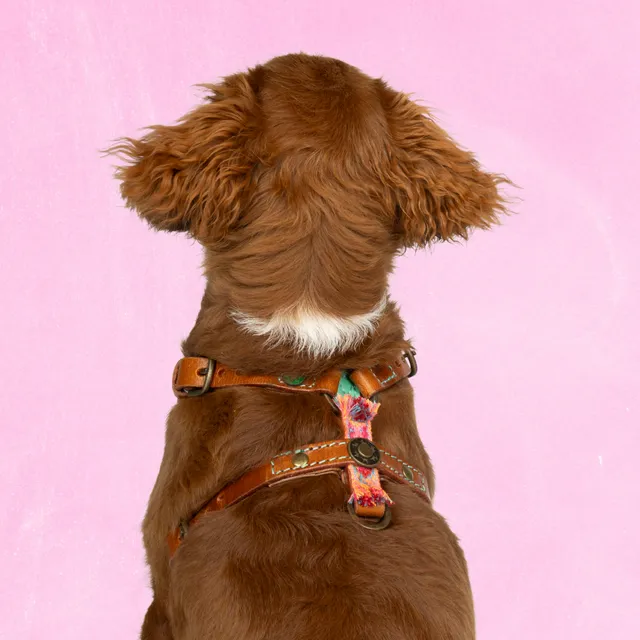 Dog with a Mission Boho Rosa pettorina cane pelle XXS