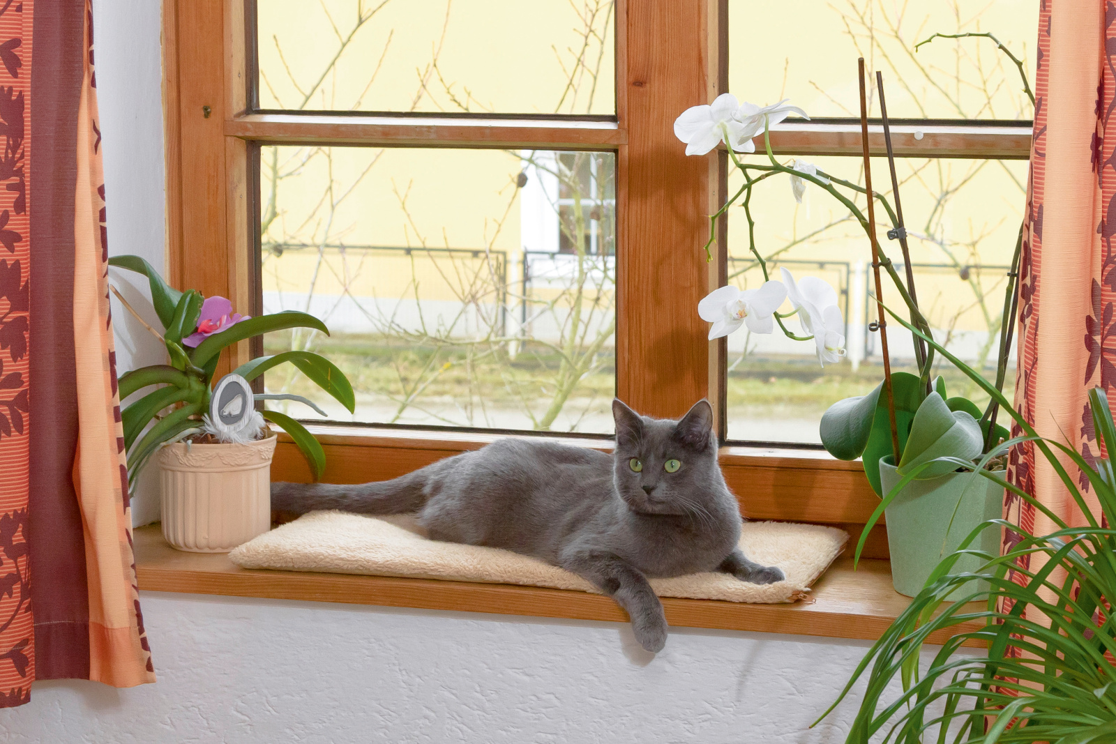 Kerbl Pet Window Cushion cuscino gatto finestra termico