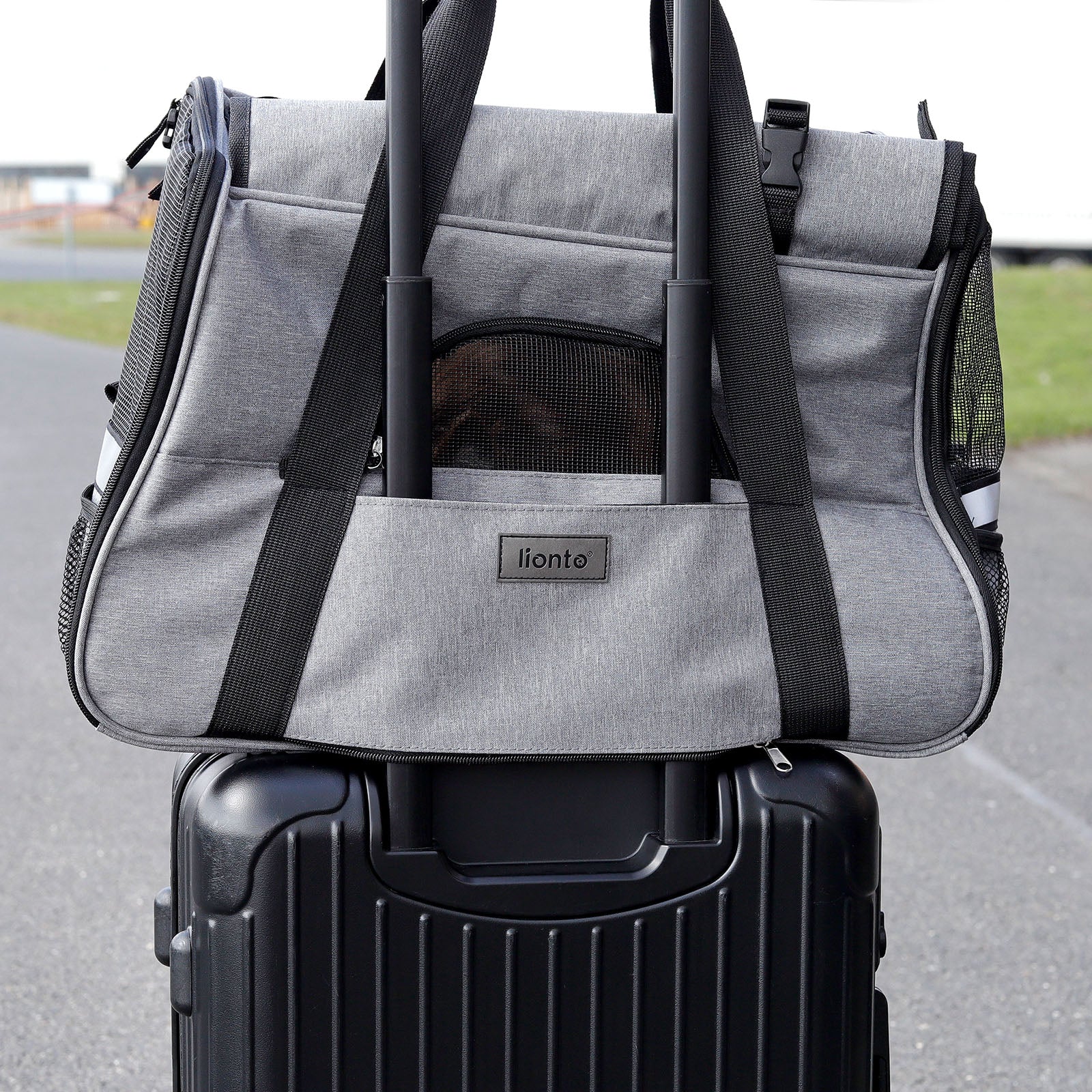 Lionto Hundetransportboxen trasportino cane nero 48,5x27 cm