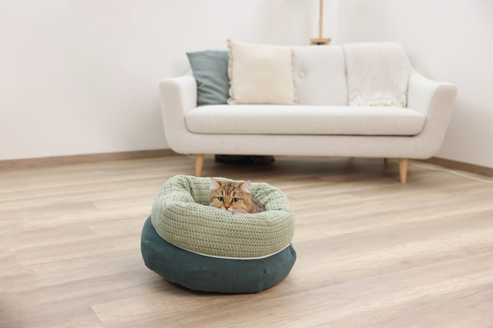 Kerbl Pet Anne Snugly Bed lettino gatto teddy poliestere