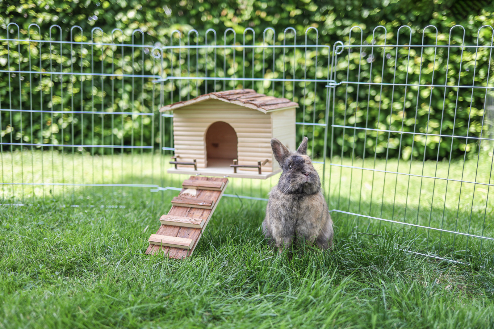Kerbl Pet Nature casetta roditori in legno con fissaggio griglia