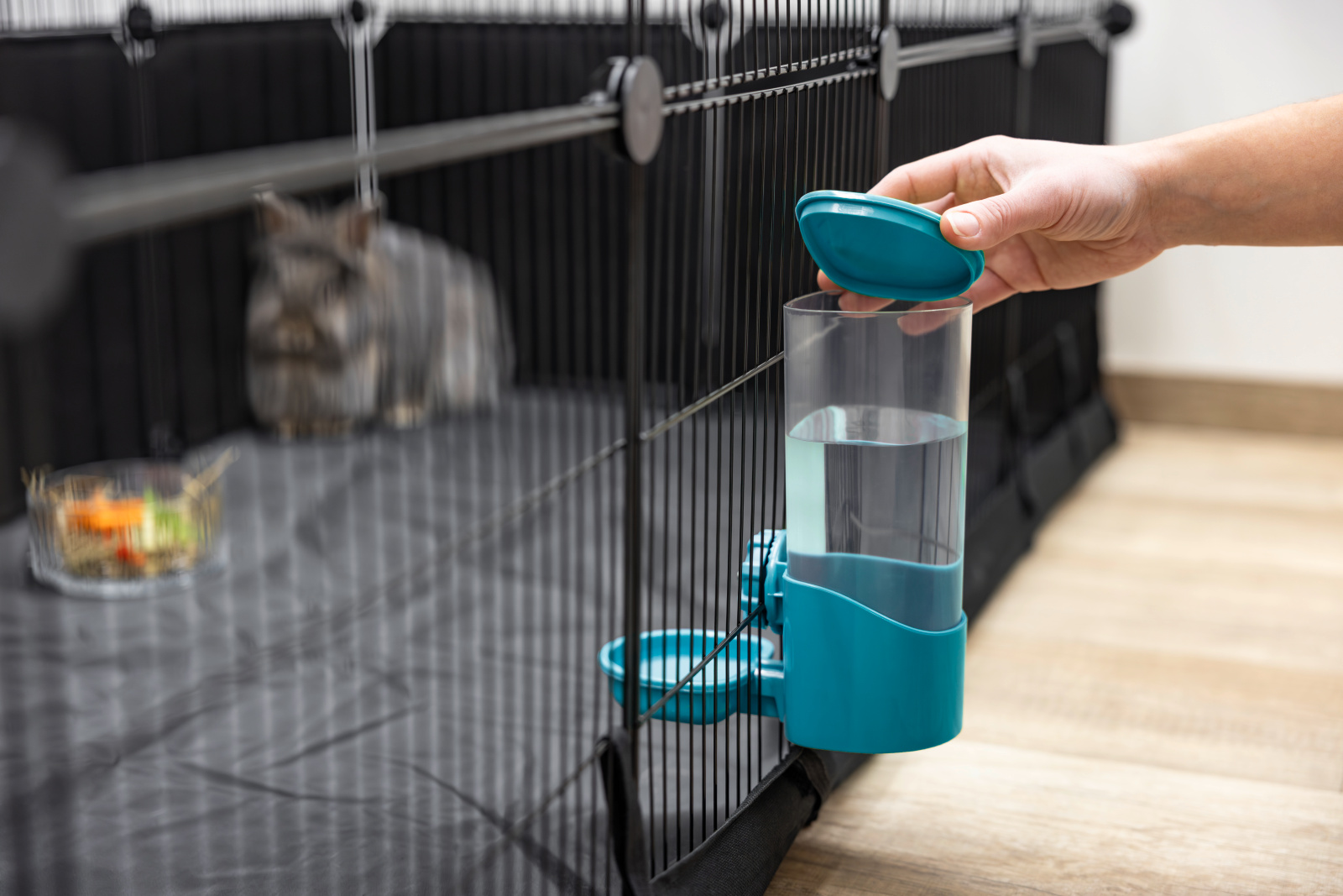 Kerbl Pet Water Dispenser abbeveratoio conigli roditori plastica
