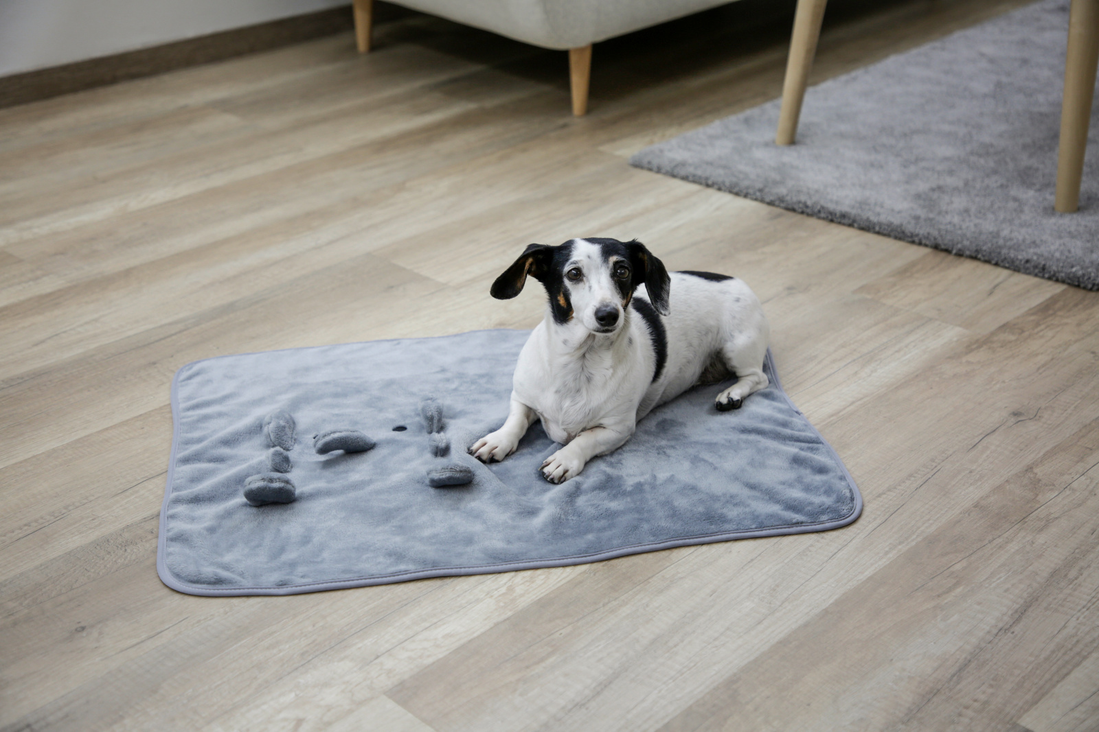 Kerbl Pet Puppy Blanket coperta pile per cani e cuccioli