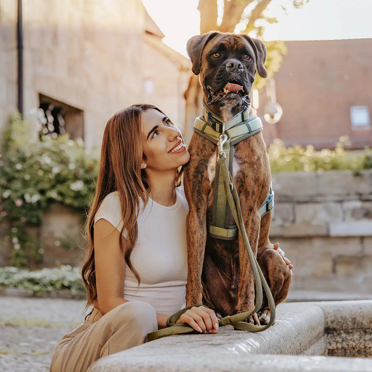 Rudelkönig Bella Set Cane Khaki Guinzaglio Pettorina Collare