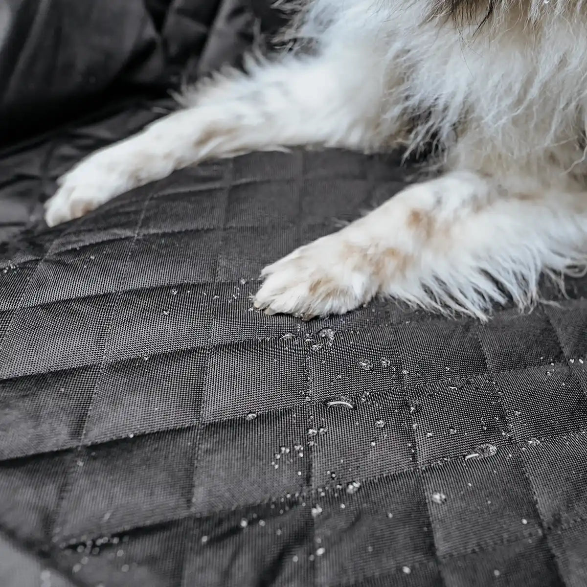 Rudelkönig Reisen mit Hund Rücksitzschutz coprisedile auto nero