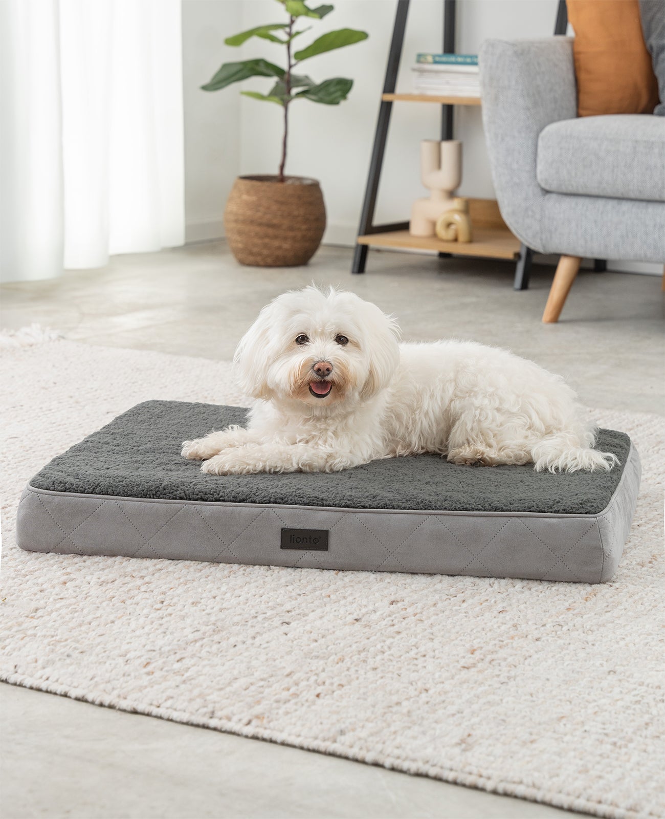 Lionto Hundebetten cuccia ortopedica grigia 76x51x8 cm peluche