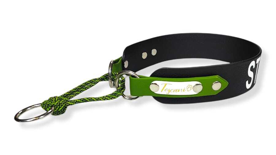 Toscani Waterproof Collare Cane Personalizzato con Nome