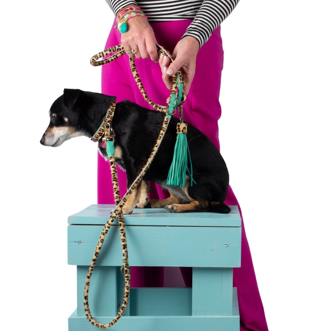 Dog with a Mission Lou Lou Collare Cane XXS Panterprint Bordeaux