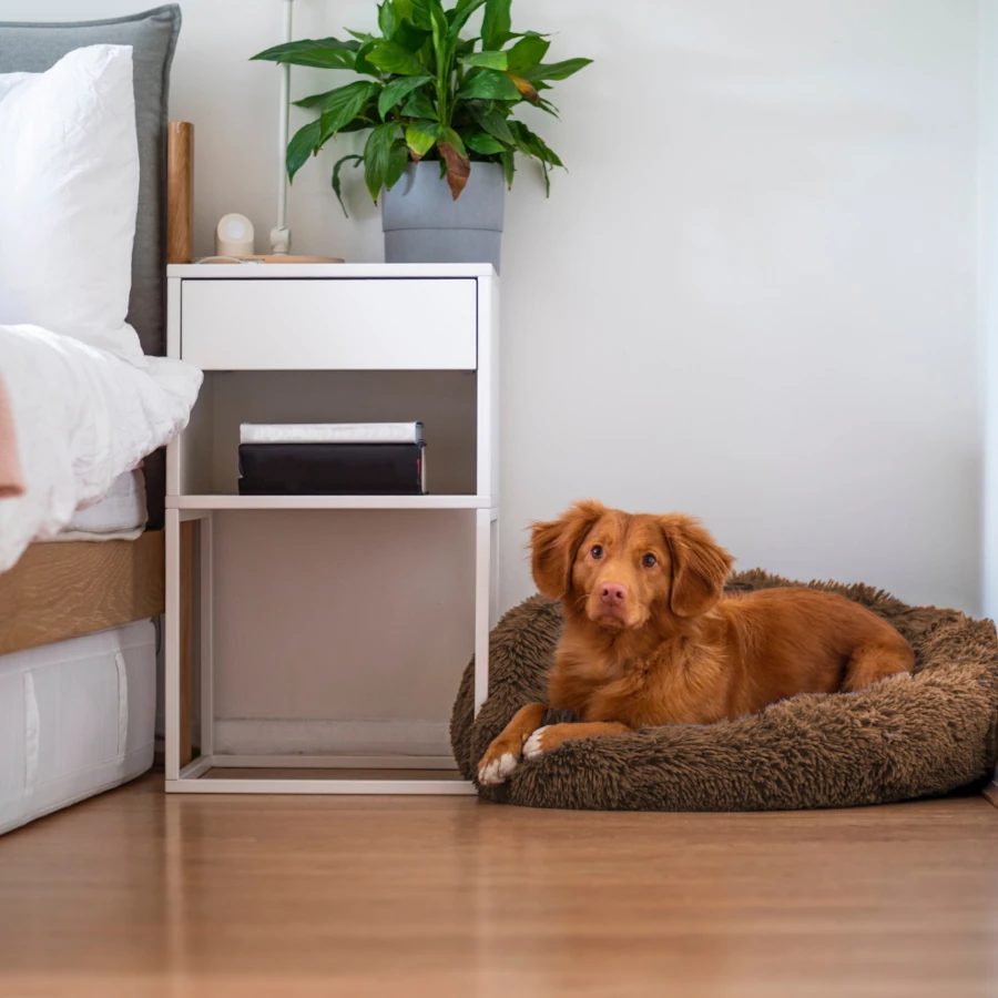 Toscani Vet Bed cuscino ciambella fluffy marrone chiaro cani