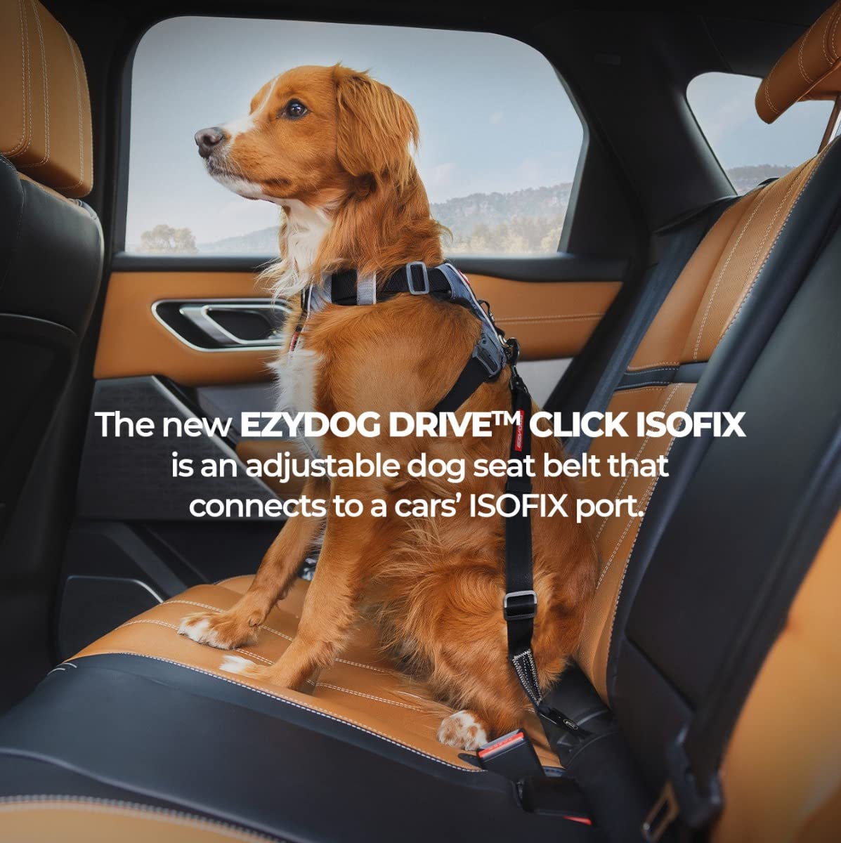 EzyDog Travel Accessories Click cintura auto cane nero 43-65 cm