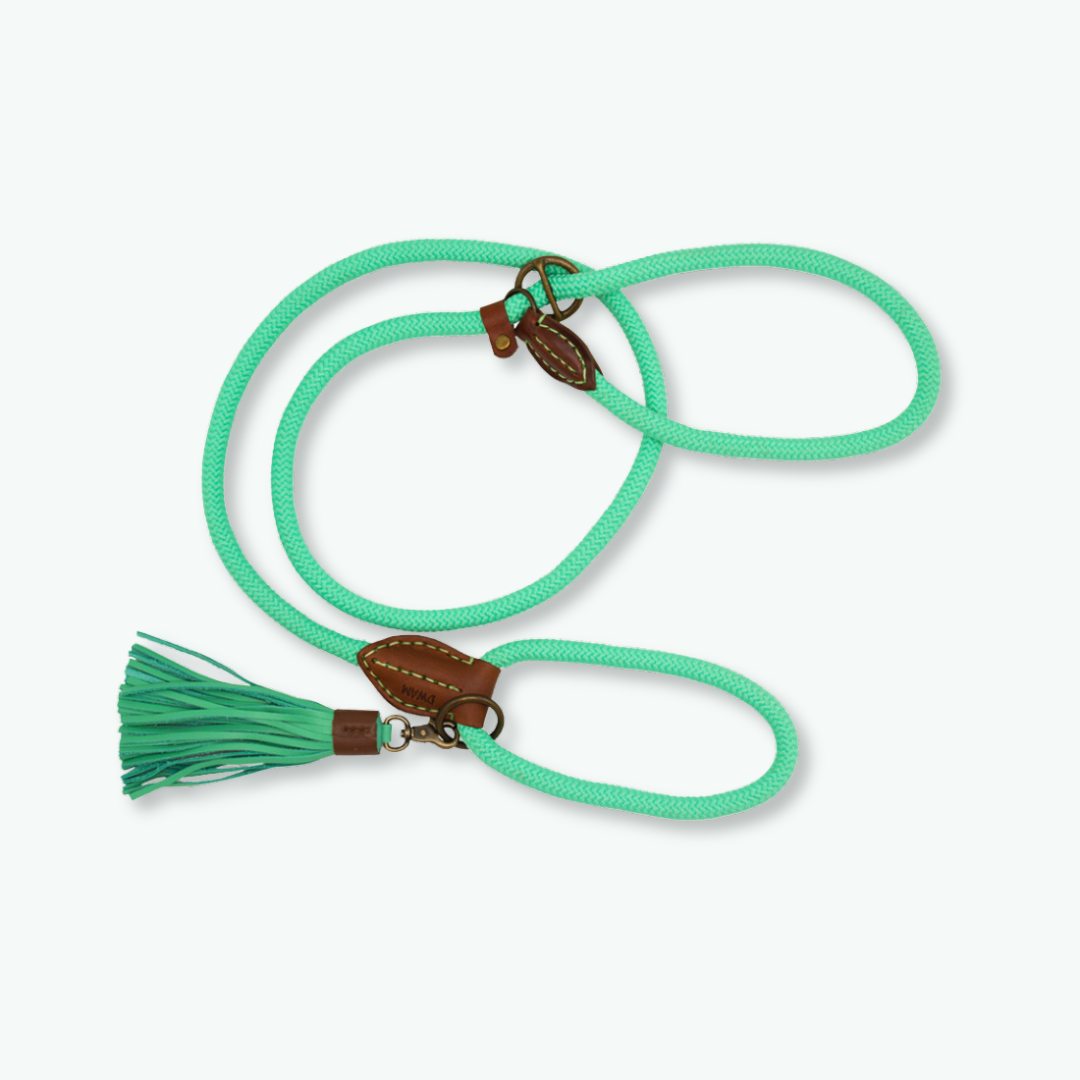 Dog with a Mission Jade Guinzaglio Slip Turchese Taglia Unica
