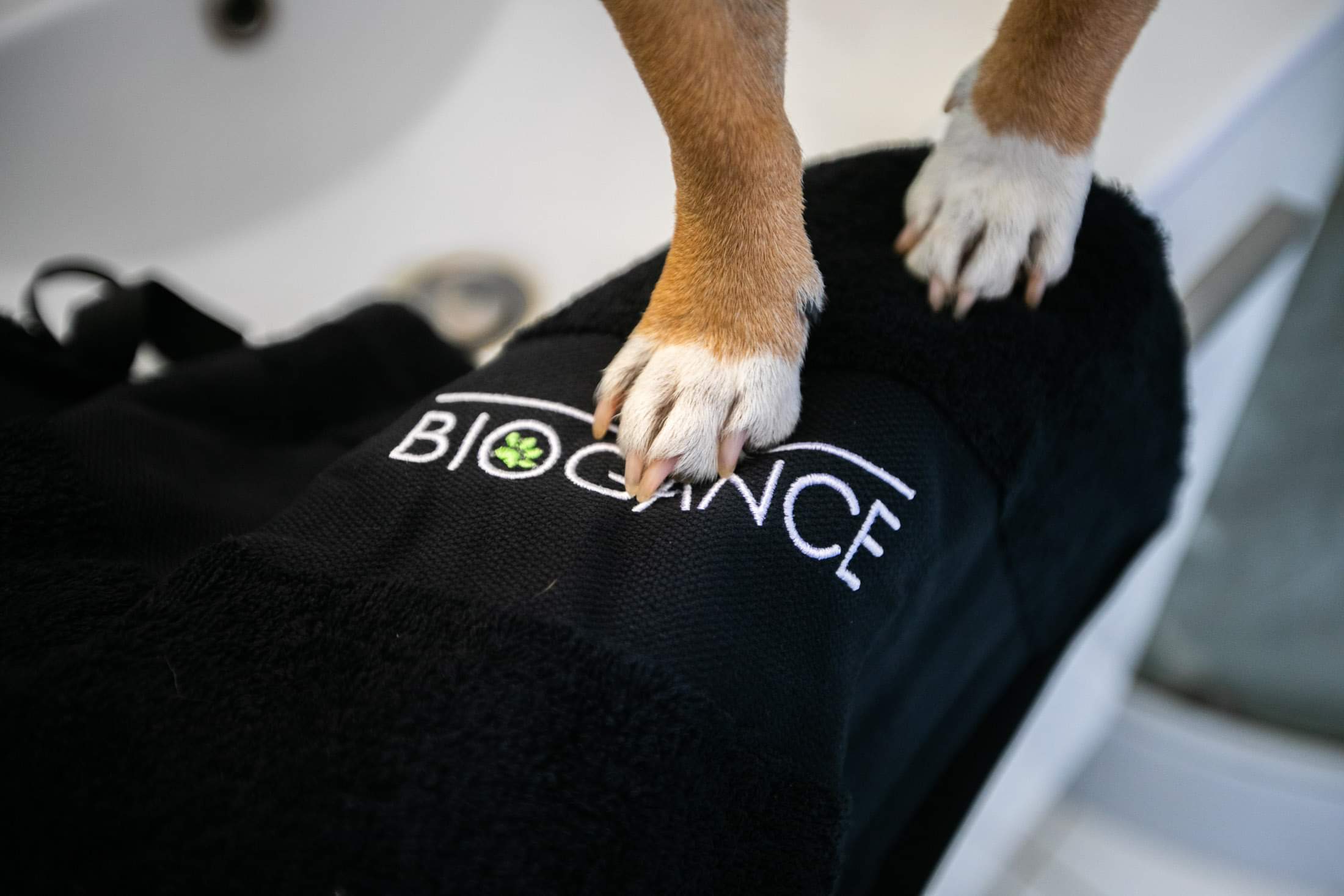 Biogance Asciugamano Bagno Cane Gatto in Cotone