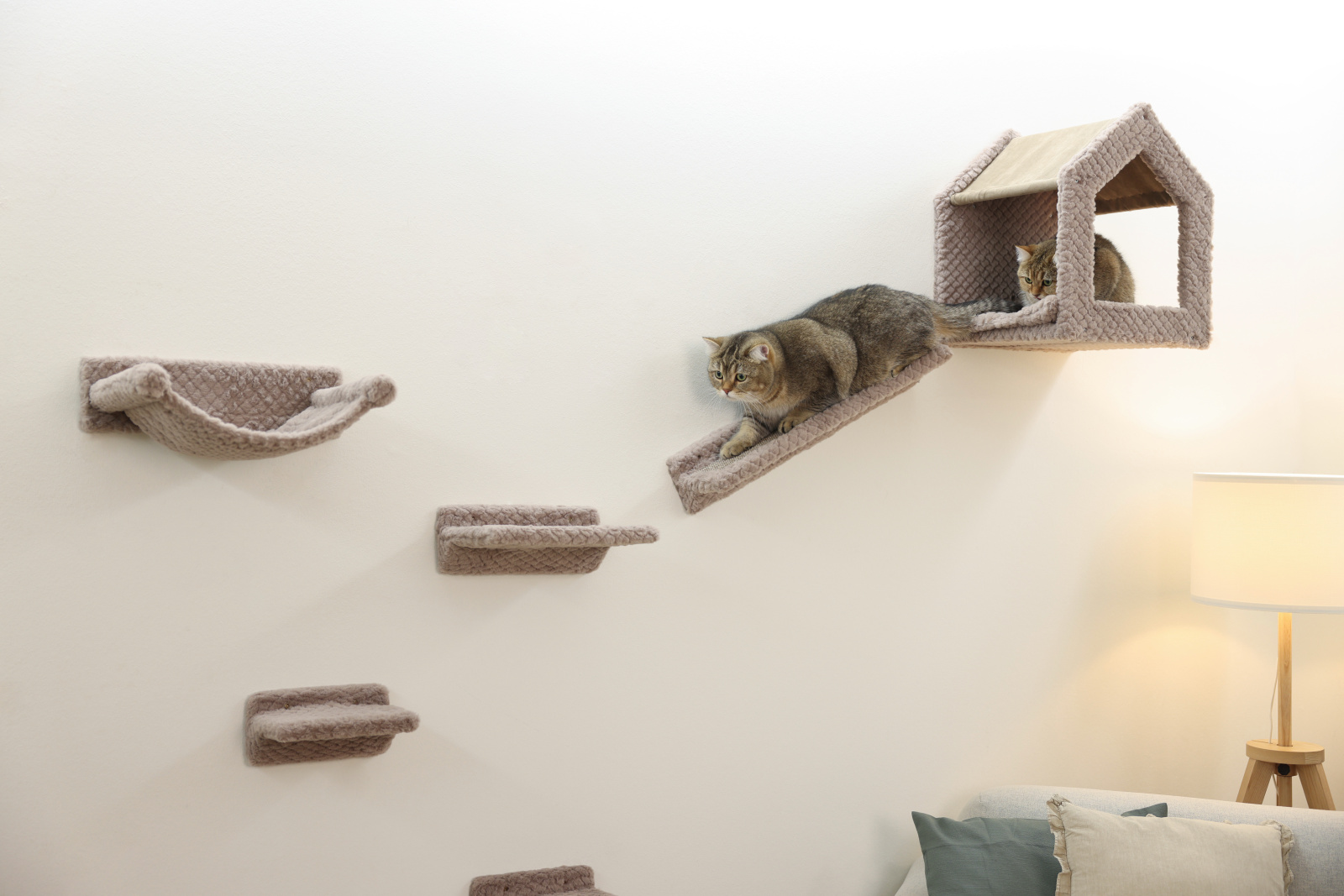 Kerbl Pet Monte Baldo parete arrampicata gatto sisal