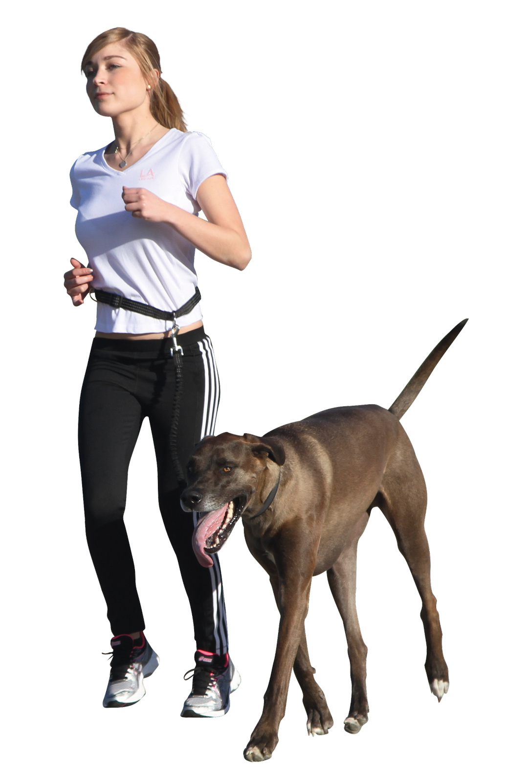 Kerbl Pet Jogging guinzaglio corsa cane con cintura