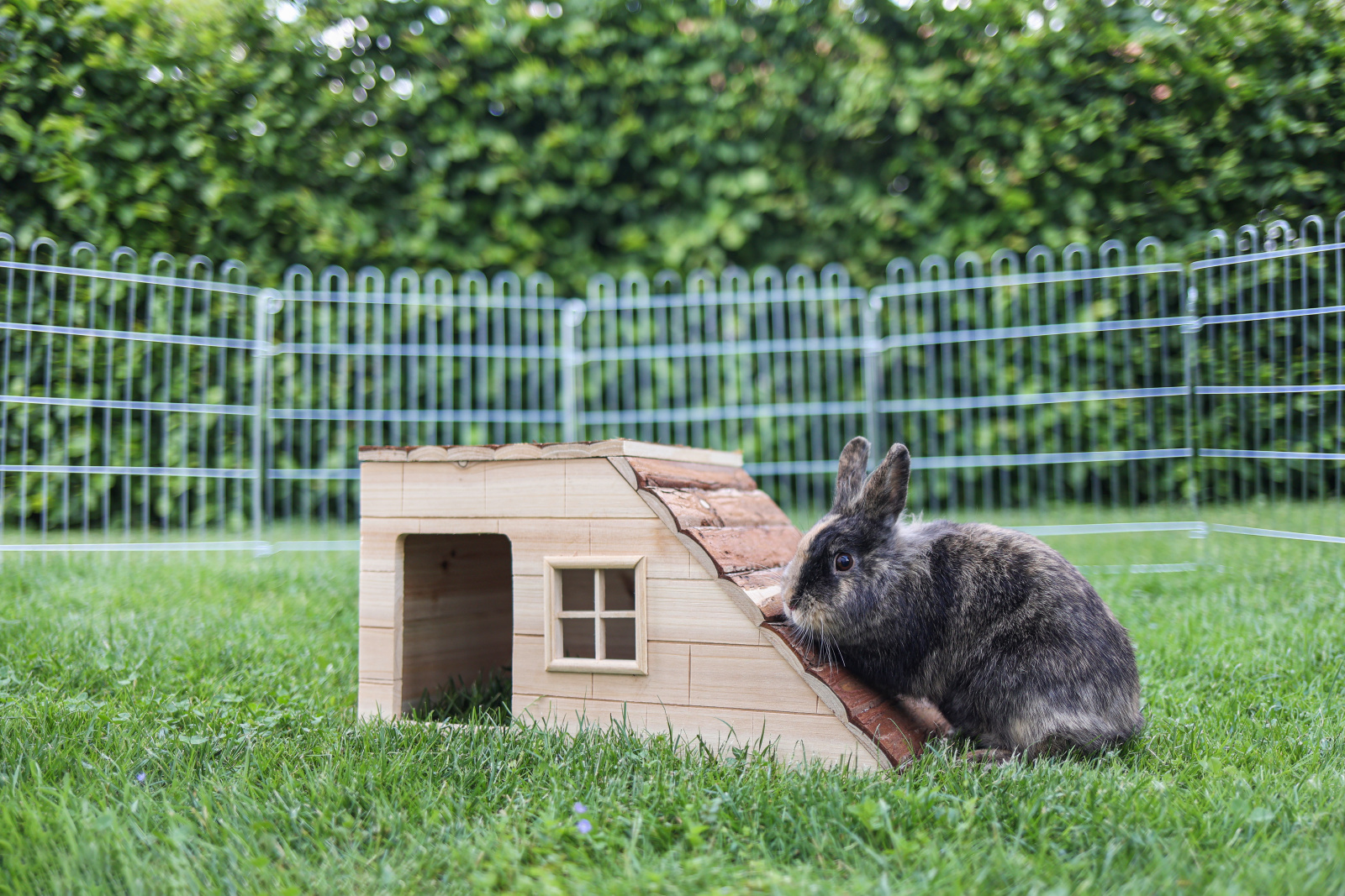 Kerbl Pet Nature Casetta Roditori in Legno con Rampa
