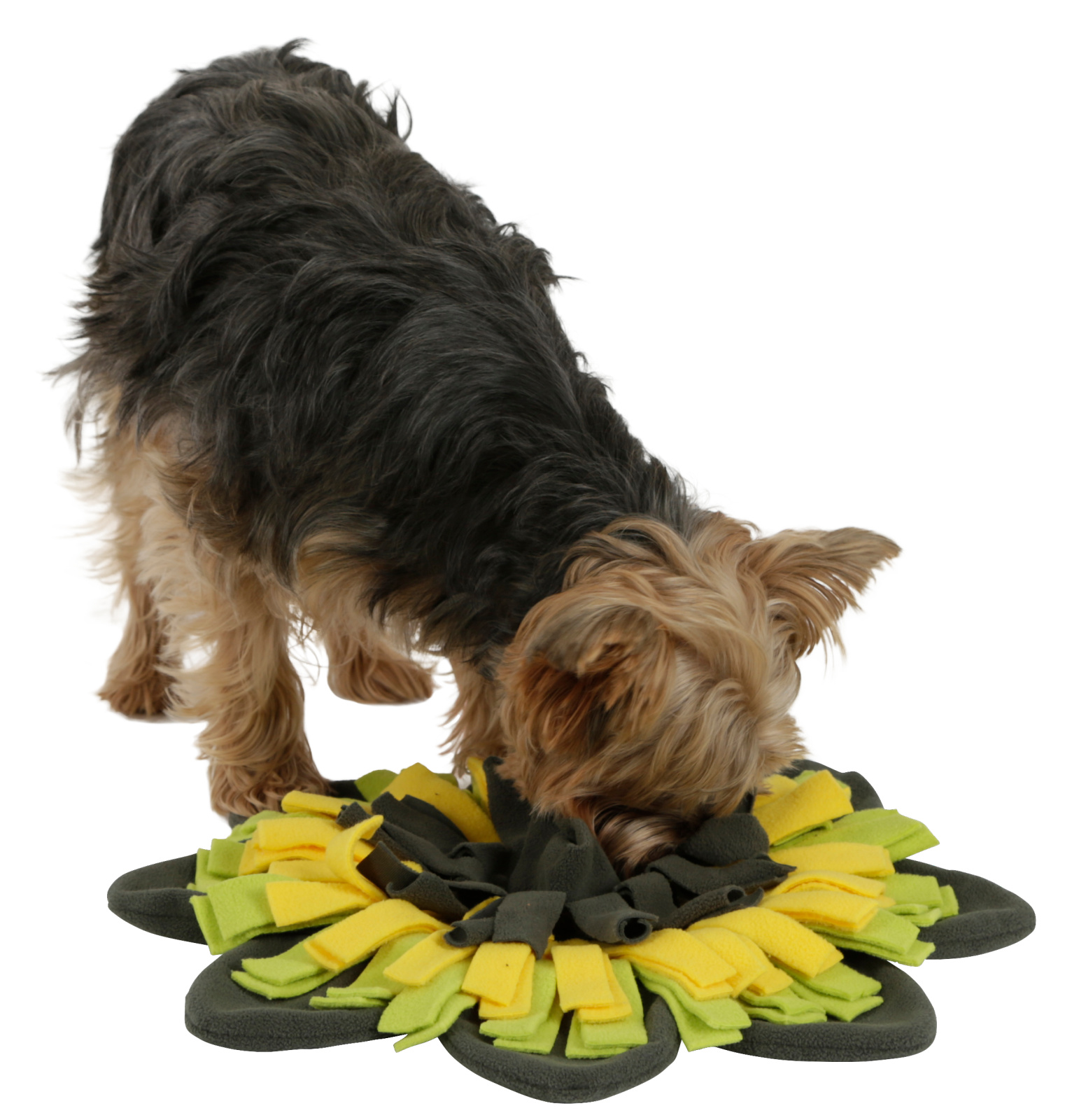 Kerbl Pet Sunflower tappeto olfattivo cane rotondo