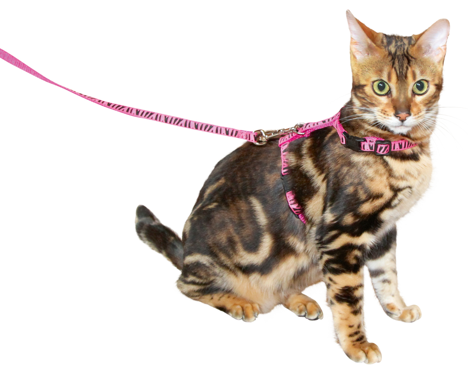 Kerbl Pettorina Gatto Nylon con Guinzaglio 120 cm
