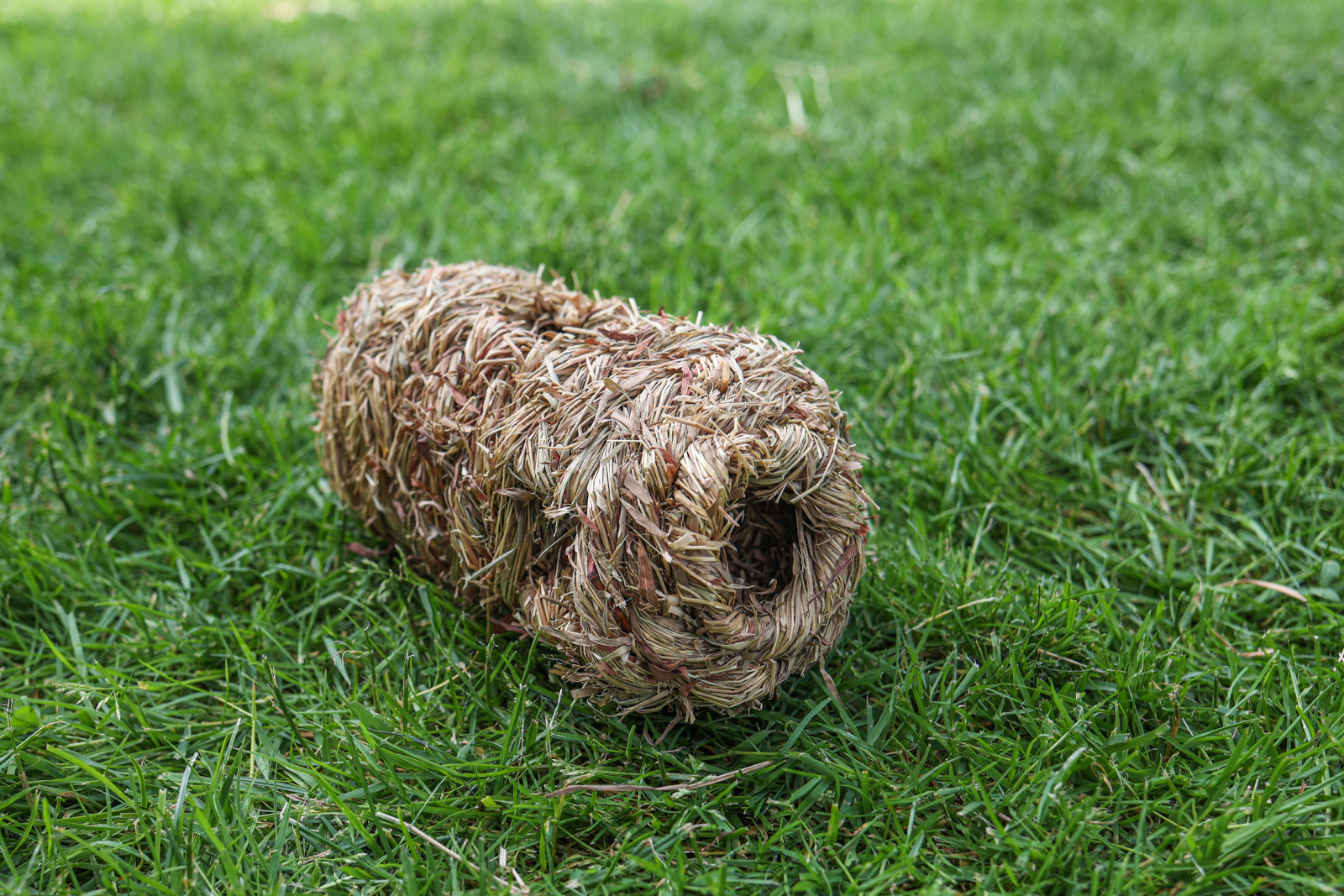 Kerbl Pet Tubo Erba Naturale 6 Fori per Criceti e Topi