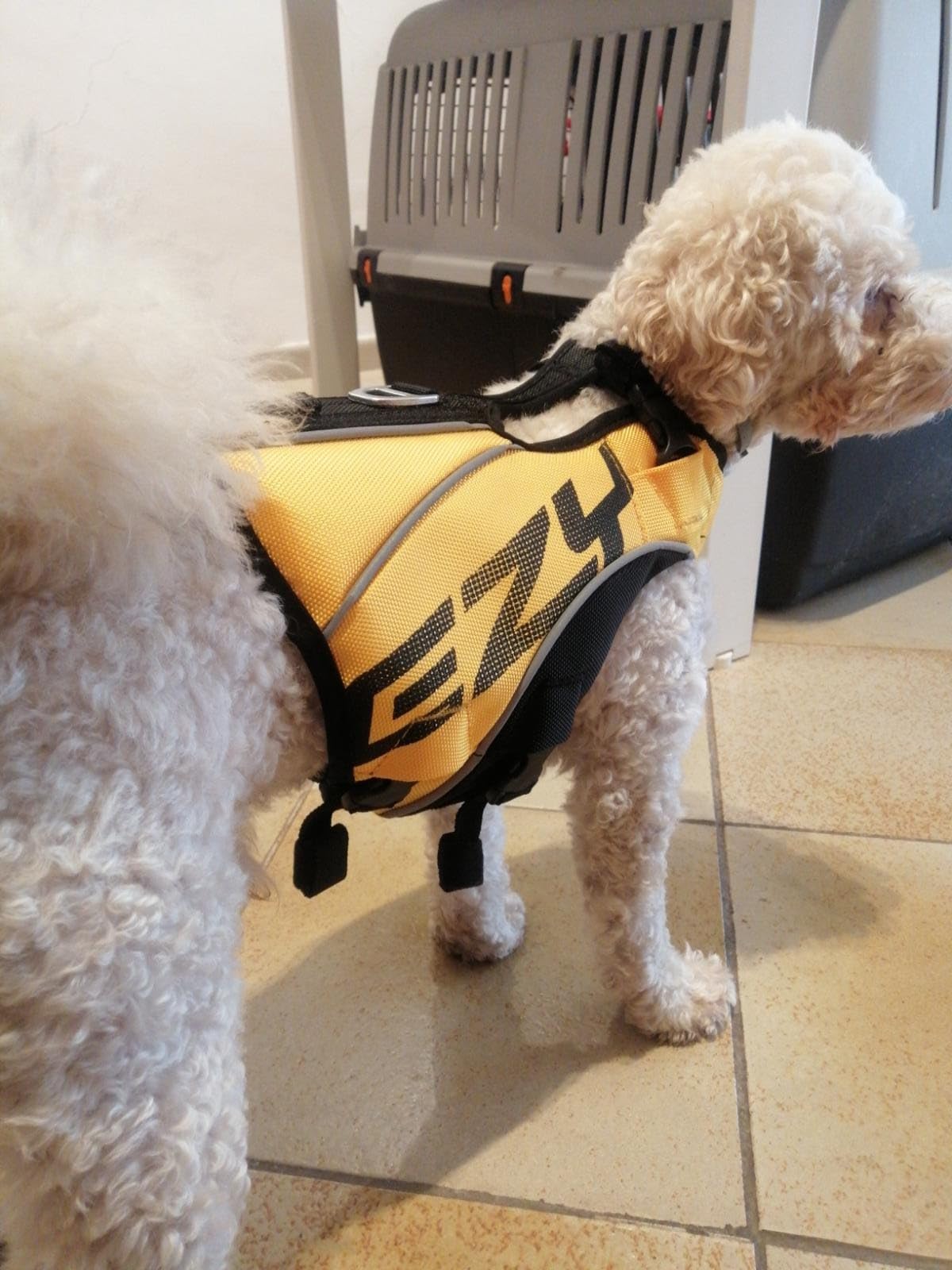 EzyDog DFD X2 Premium giubbotto salvagente cane L giallo