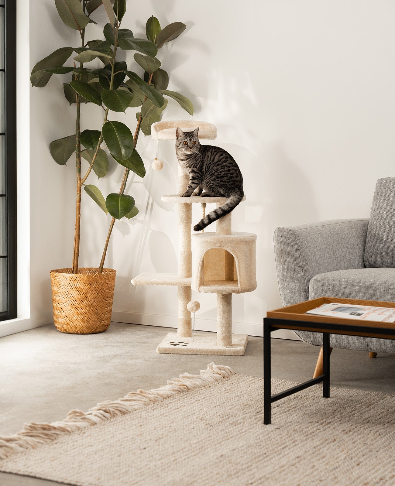Lionto Tiragraffi per Gatti 112 cm Beige Sisal con Cuccia