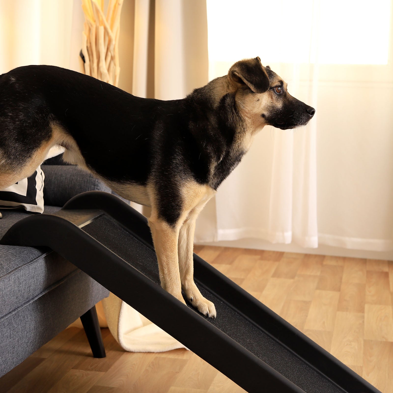 Lionto Rampa per Cani 100x38 cm Plastica Antiscivolo 90 kg
