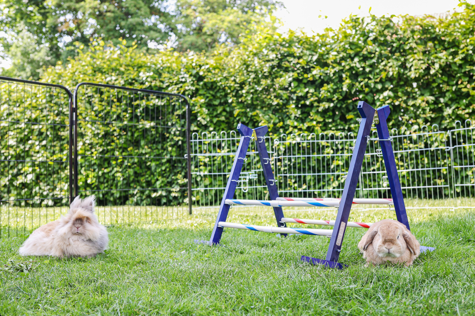 Kerbl Pet Combo Jump agility legno per roditori 10 barriere