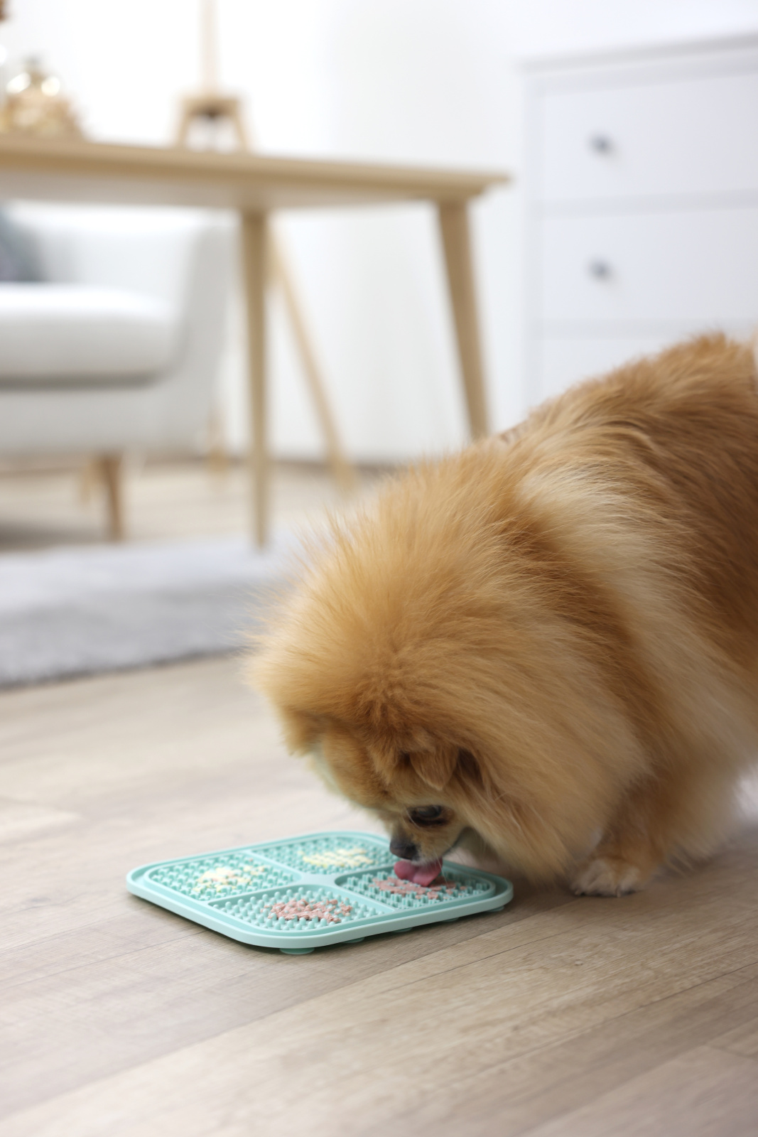 Kerbl Pet Lick Mat tappetino cane silicone ventose