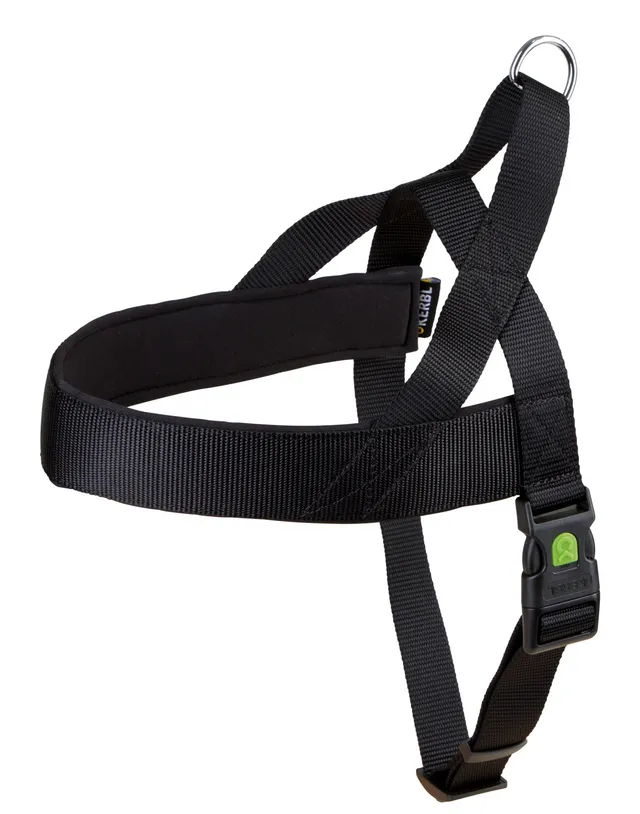 Kerbl Miami Plus pettorina cane nylon imbottita clip