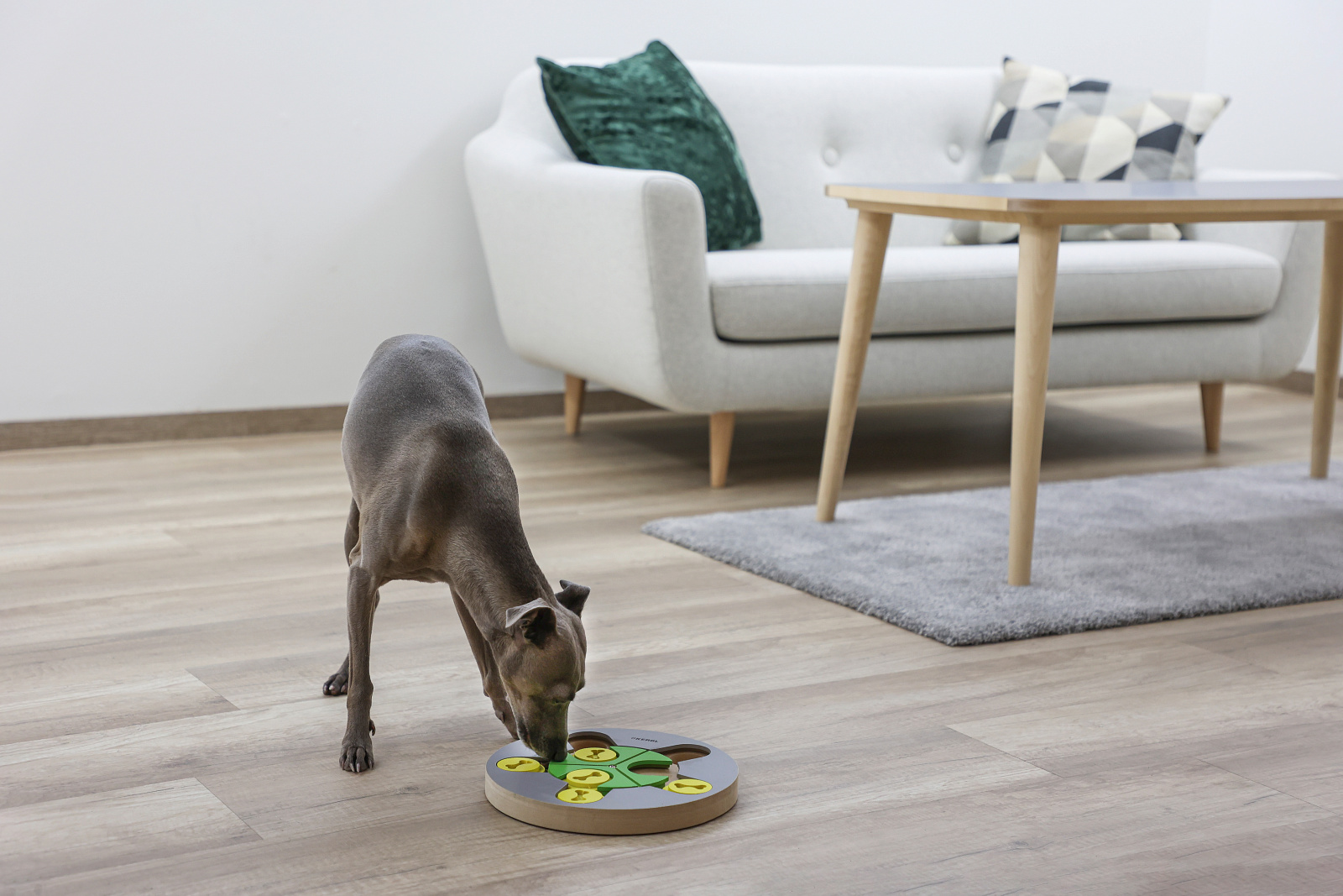 Kerbl Pet Switch gioco intelligenza legno per cani