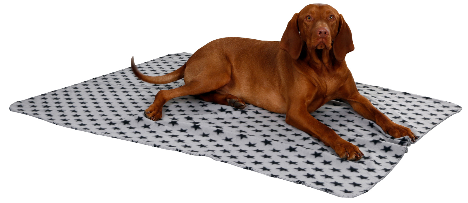 Kerbl Stella coperta cane 140x100 grigia stelle