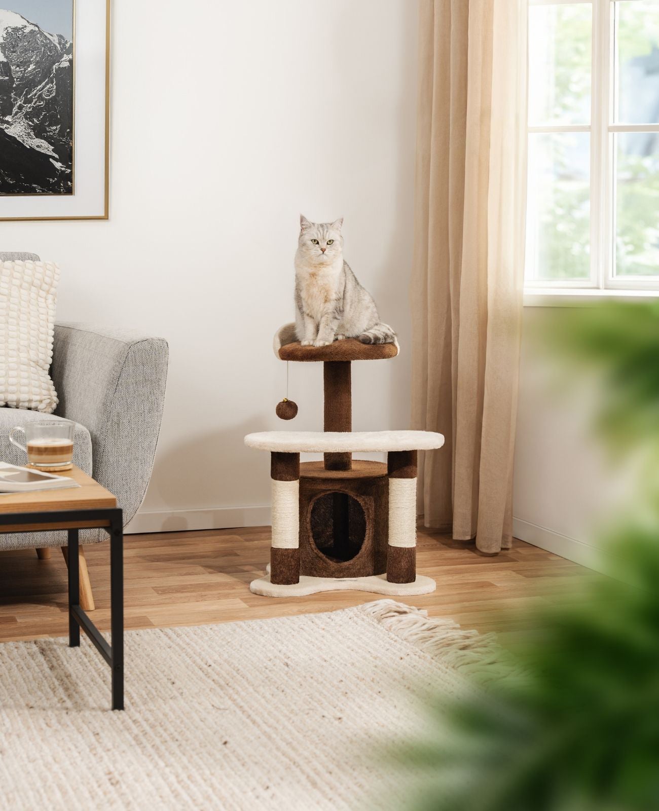 Lionto Tiragraffi 65 cm Albero per Gatti Marrone Beige