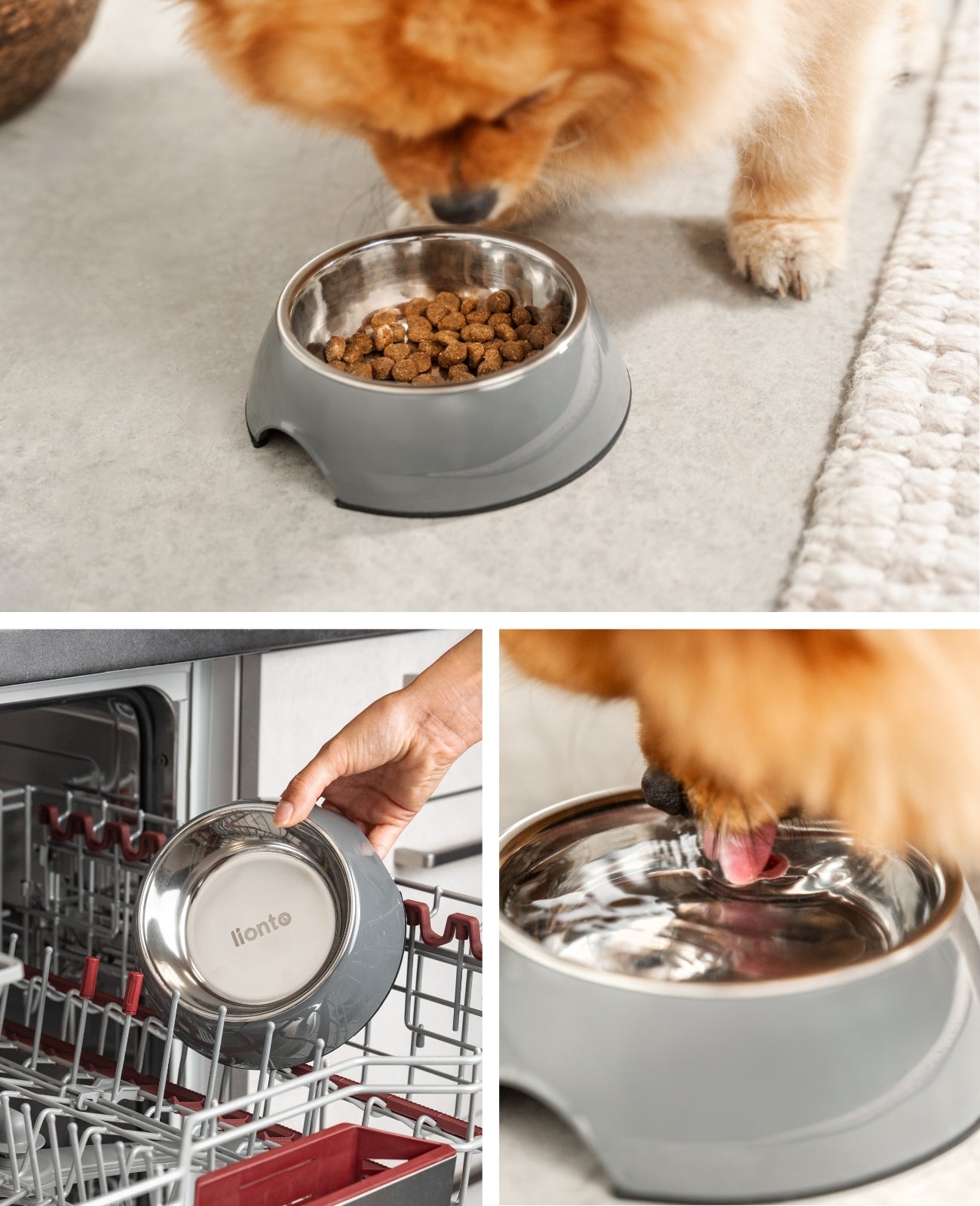 Lionto Hundenäpfe Ciotola Cane Acciaio Grigia 420 ml