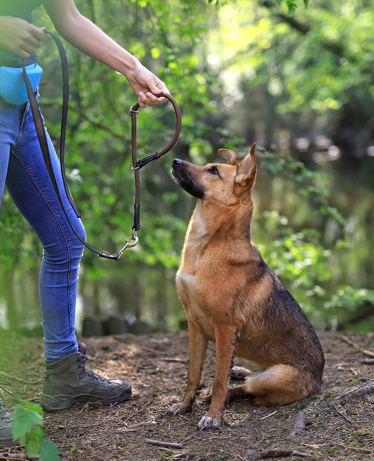 Lionto Hunde-Spaziergang collare semistrozzo 45 cm nylon nero