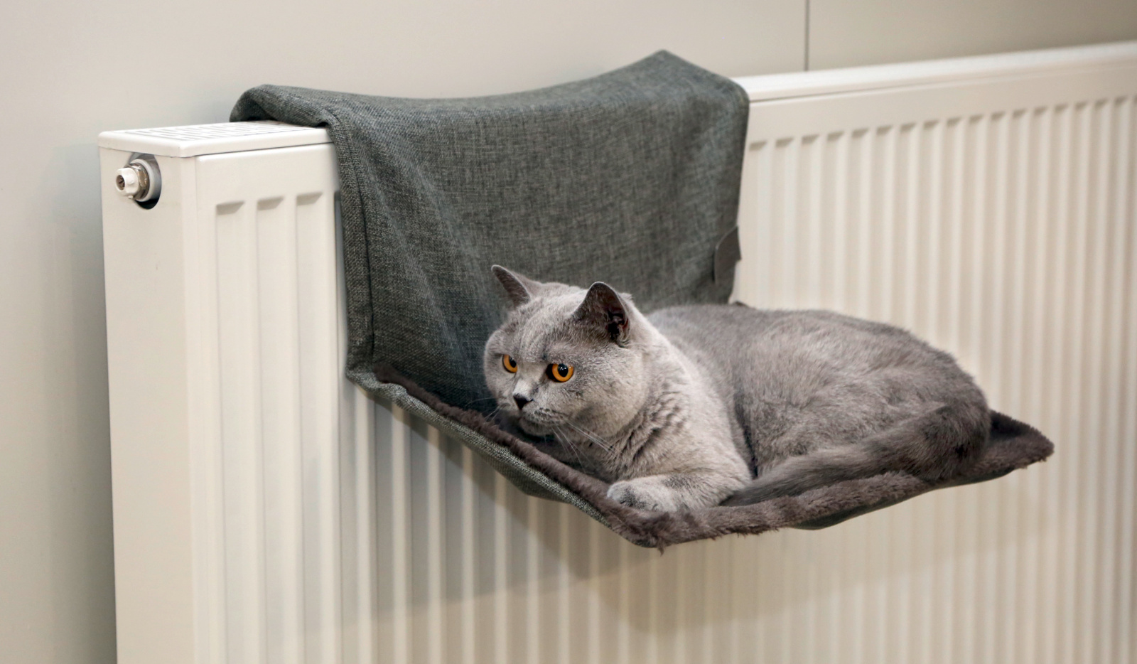Kerbl Pet Cat Hammock Paradies amaca gatto calorifero