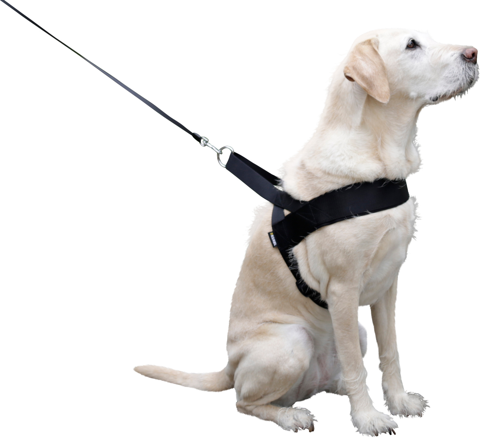 Kerbl Miami Plus pettorina cane nylon imbottita clip