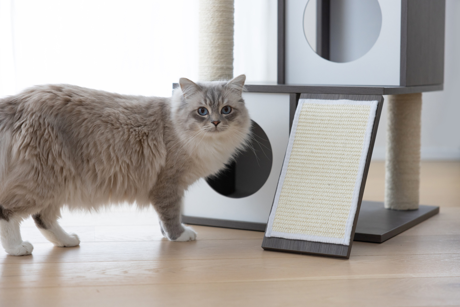 Kerbl Cat Tree Flair tiragraffi per gatti con cuccia