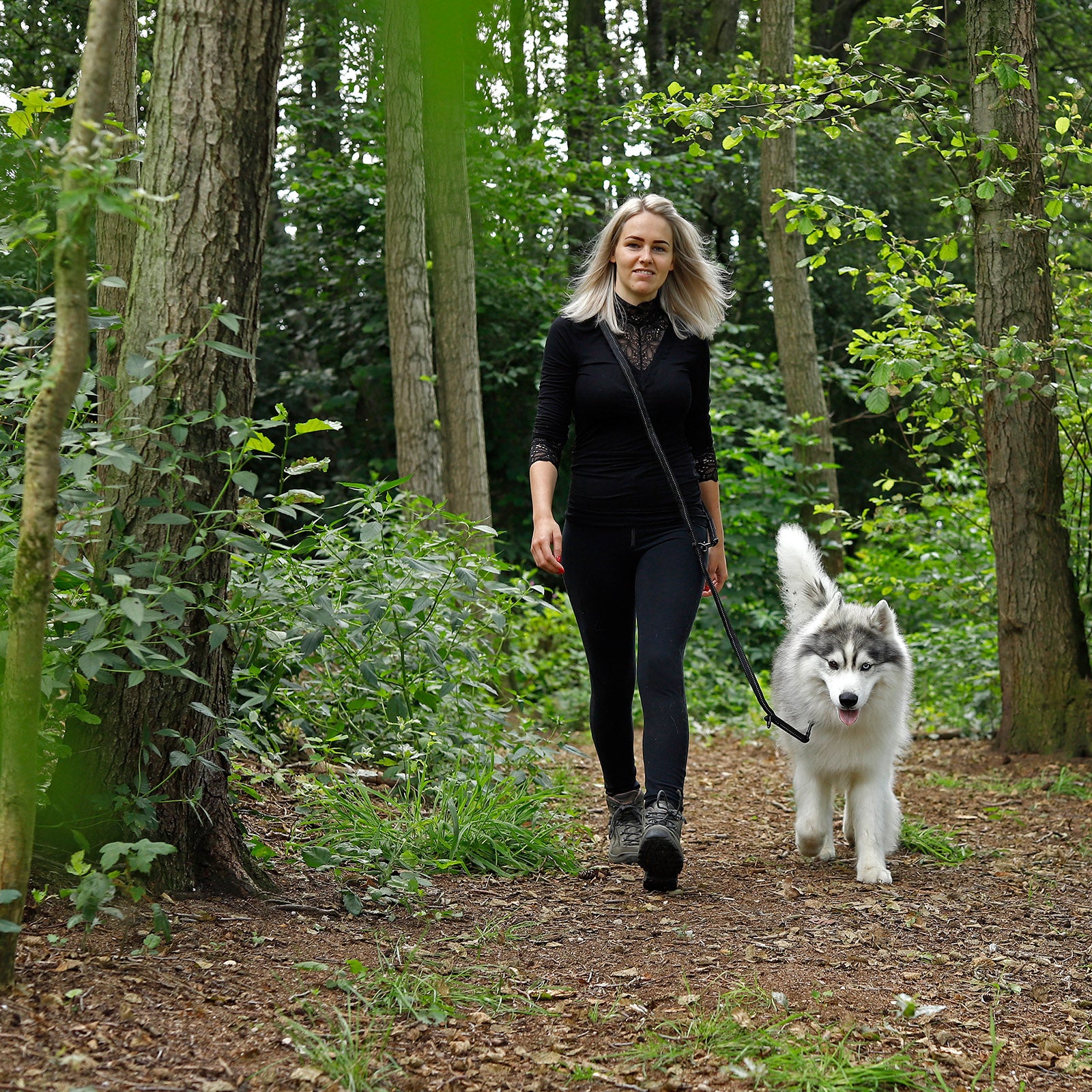 Lionto Hunde-Spaziergang guinzaglio cane 200 cm nero riflettente