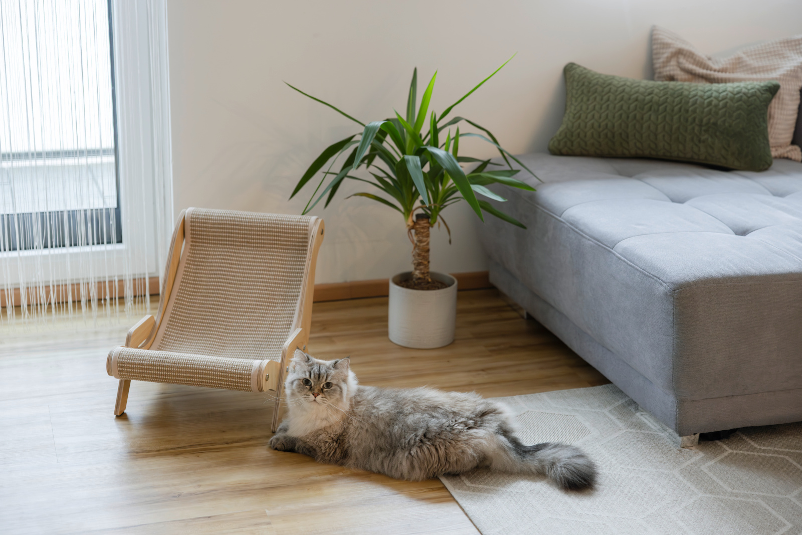 Kerbl Pet Sundowner Sdraiogatto Sisal 12 Kg