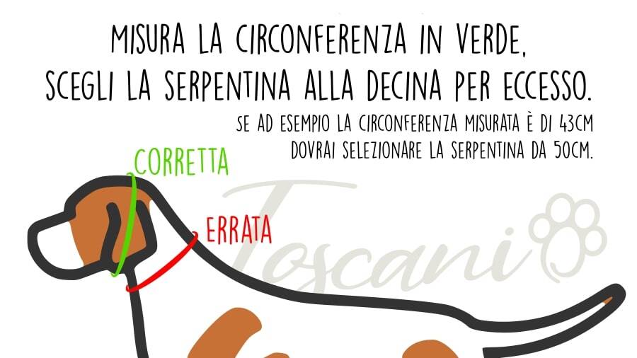 Toscani Expo Guinzaglio Esposizione Serpentina Nylon Personalizzato
