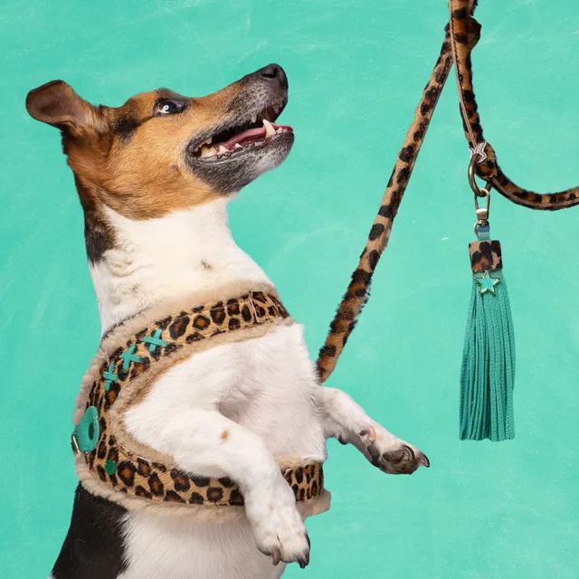 Dog with a Mission Amsterdam Pettorina cane 1 panter 25,5-27,5cm