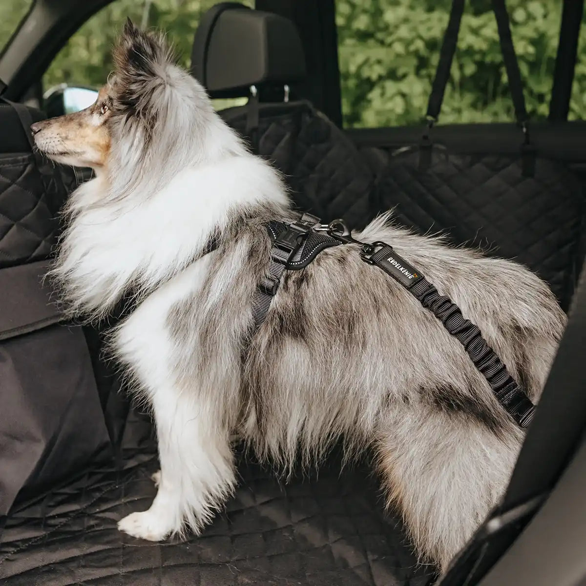 Rudelkönig Reise-Set kit auto cane nero trapuntato