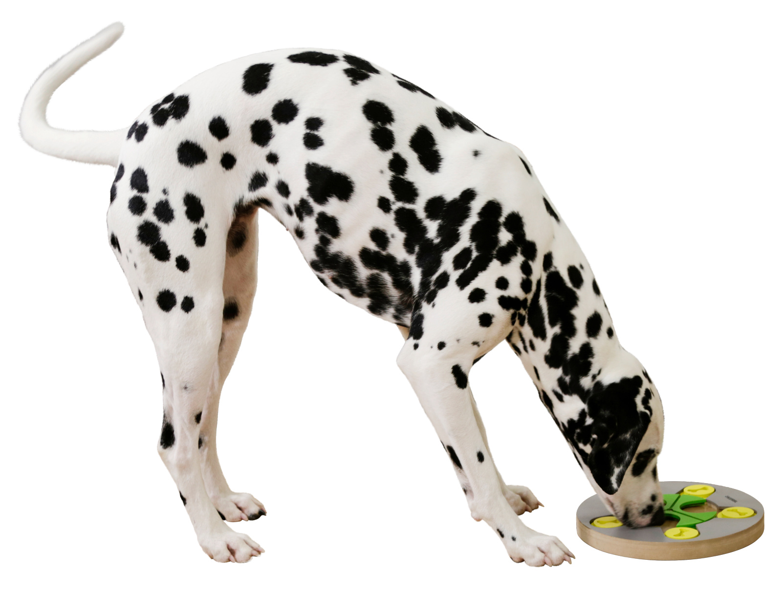 Kerbl Pet Switch gioco intelligenza legno per cani