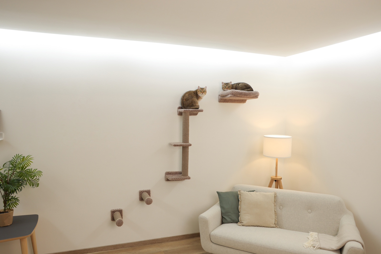 Kerbl Monte Alpi Parete Arrampicata Gatto 4 Pezzi con Sisal