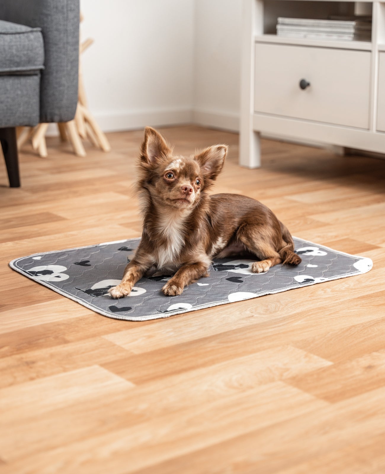 Lionto Traverse per Cani 91x86 cm Lavabili 2 Pezzi 4 Strati