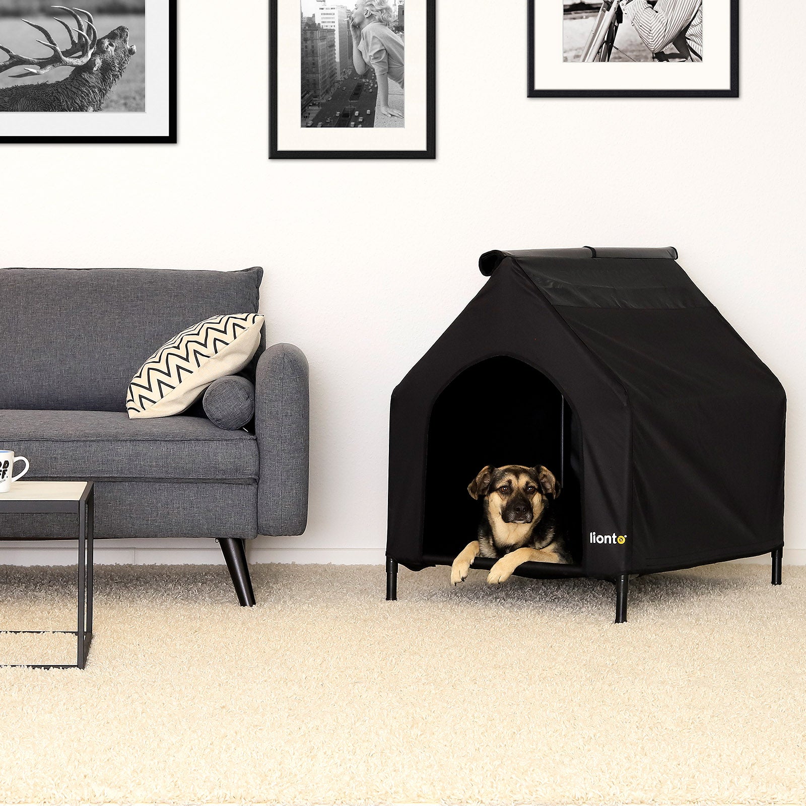 Lionto Hundeliege 110x75x105 cm brandina cani rialzata con tetto
