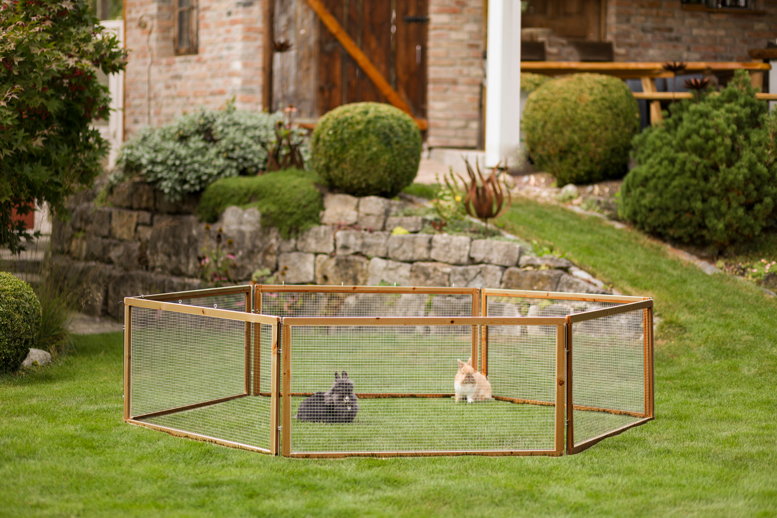 Kerbl Pet Outdoor Pen Vario recinto legno conigli 6 elementi