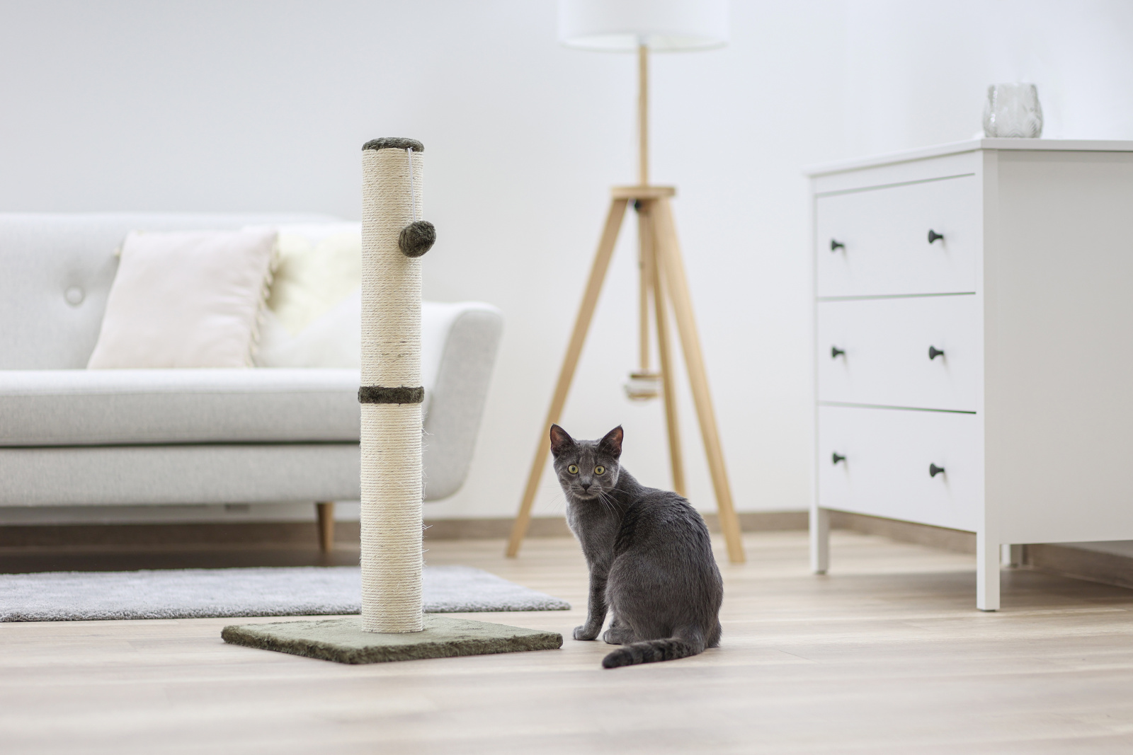 Kerbl Pet Opal Maxi tiragraffi colonna sisal con palla per gatti