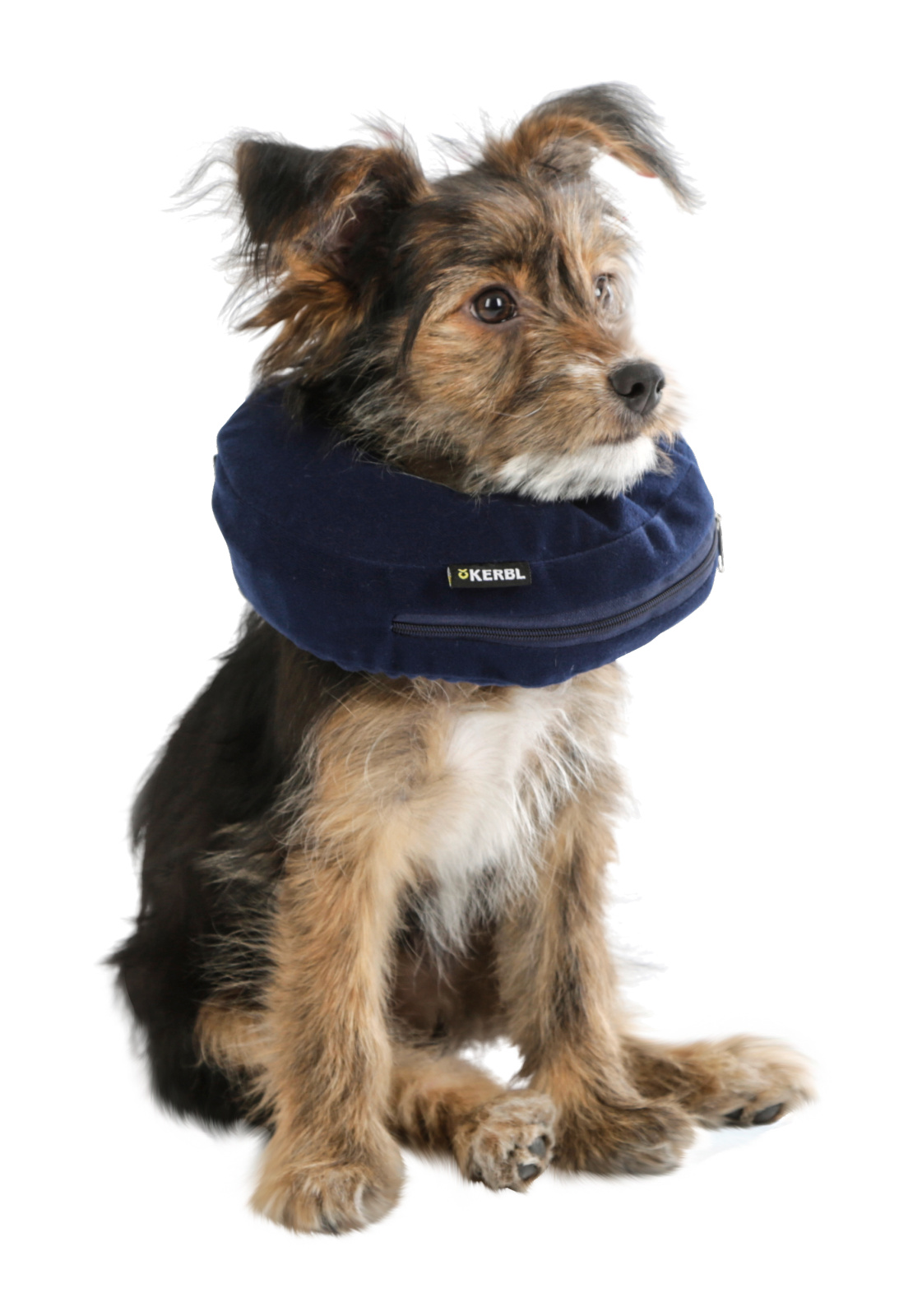 Kerbl Dog Care collare postoperatorio gonfiabile per cani