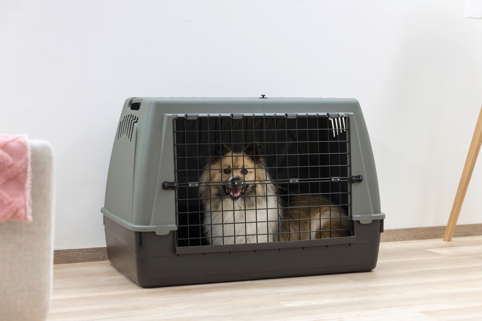 Kerbl Pet Bracco trasportino cane auto plastica riciclata