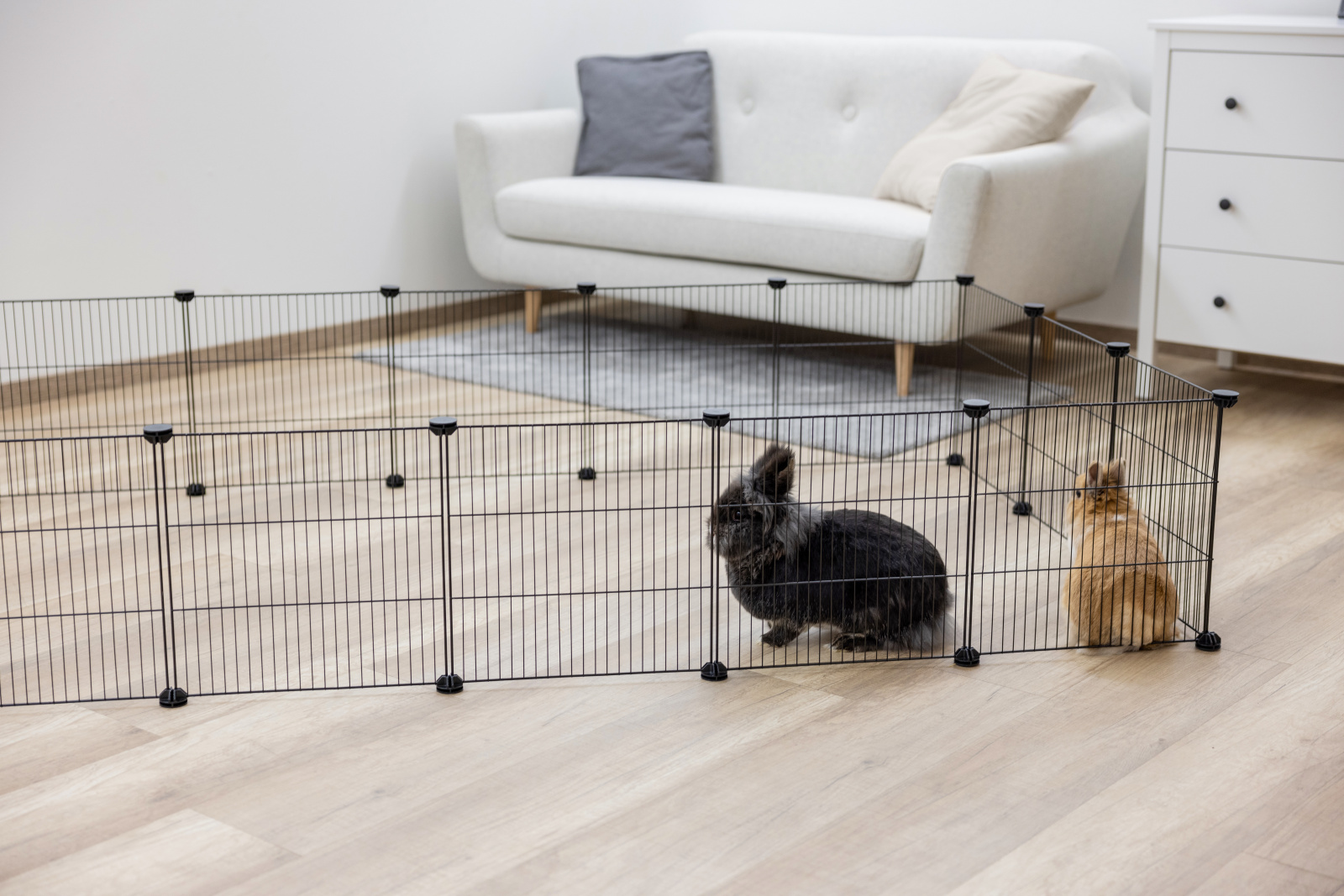 Kerbl Pet Griglie 6x35x35 cm ampliamento recinto esterni
